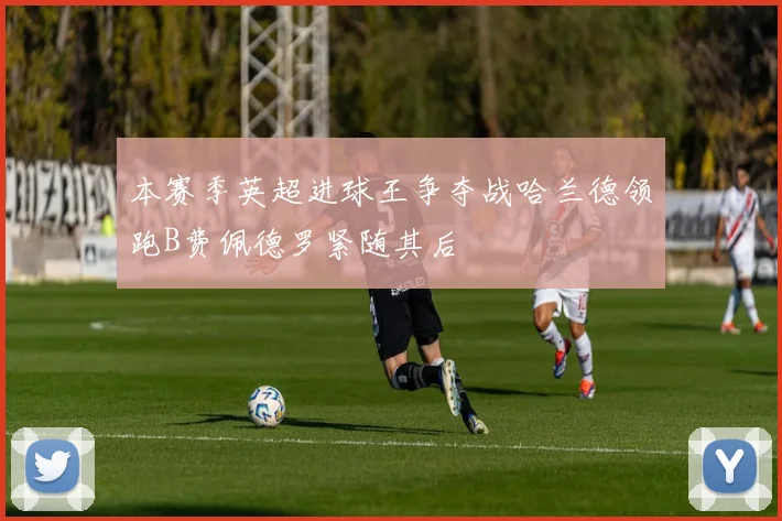 本赛季英超进球王争夺战哈兰德领跑B费佩德罗紧随其后
