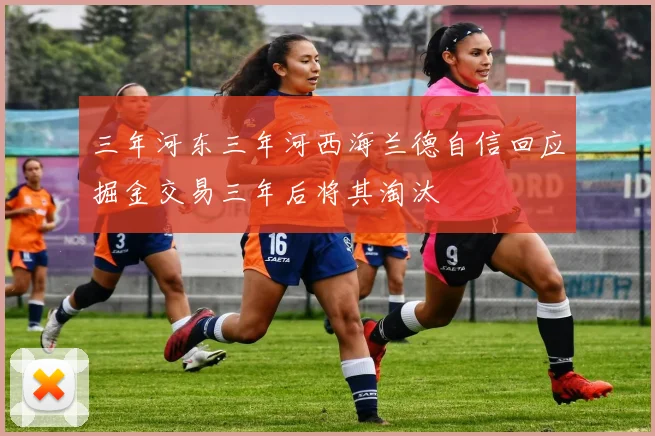 三年河东三年河西海兰德自信回应掘金交易三年后将其淘汰